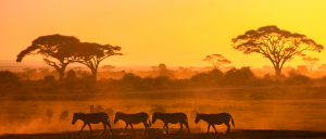2024.01.10 / KENIA 2024.01.10 / KENIA